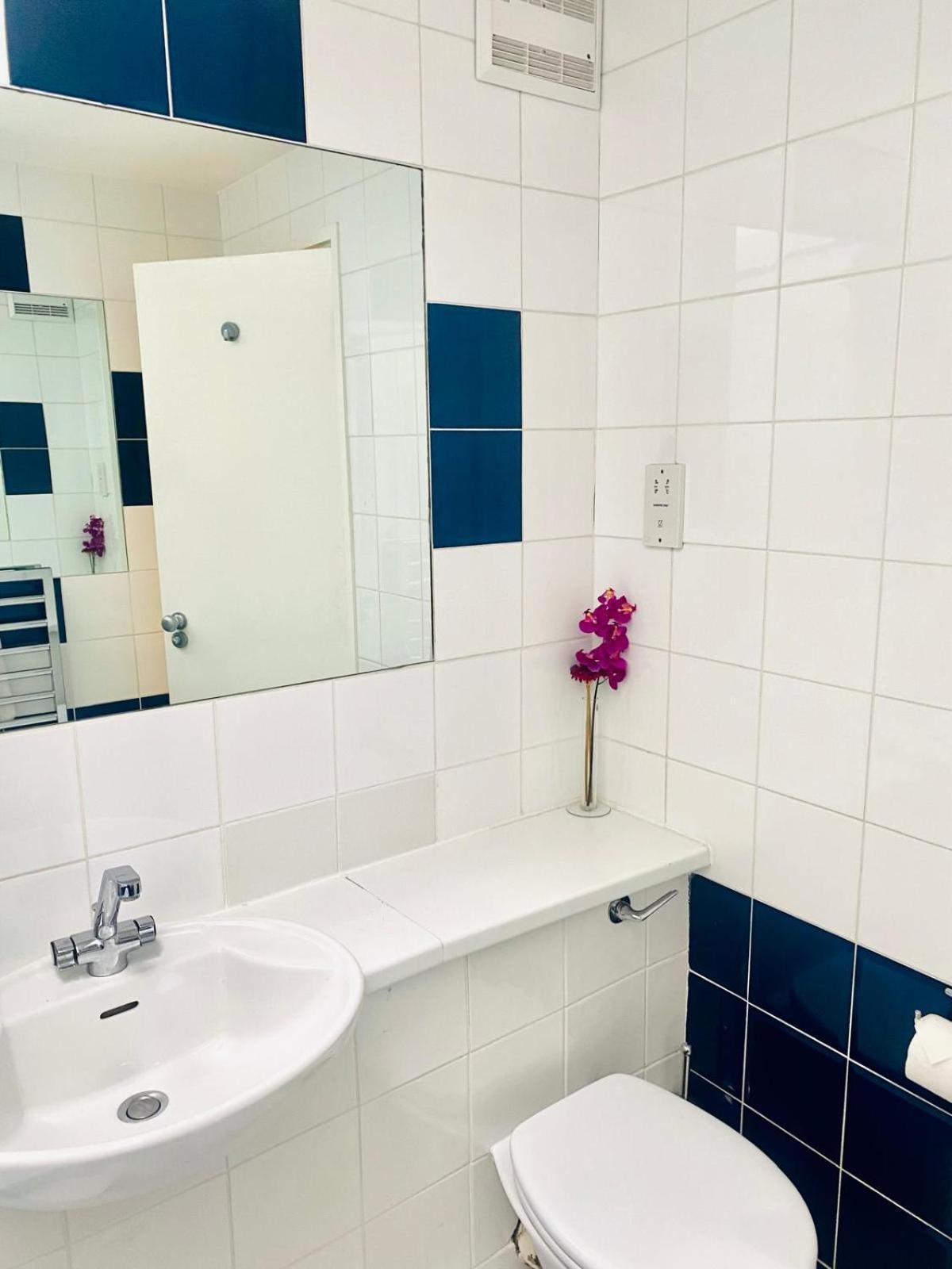 Large Self-Contained Cozy Studio London Exterior photo